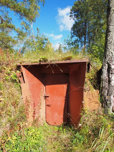 Entrada em um abrigo de ataque aéreo subterrâneo na floresta . — Fotografia de Stock