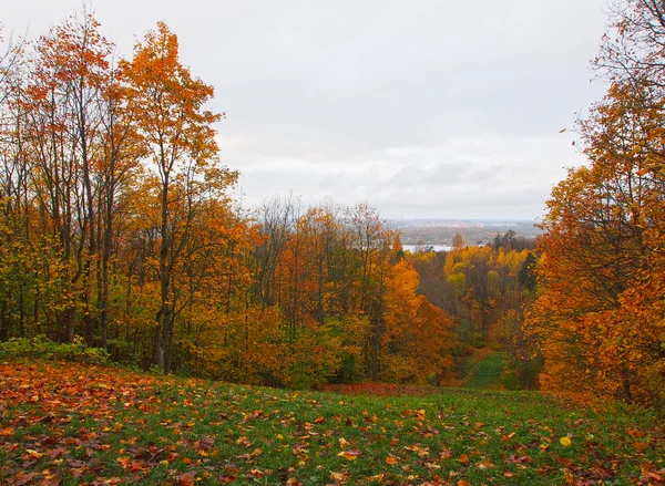 De Gouden herfst — Stockfoto