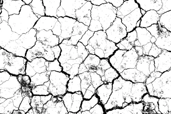 La texture des fissures blanc et noir . — Image vectorielle