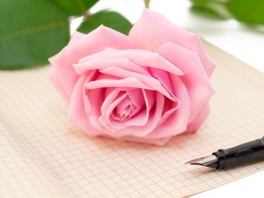 Kağıt, aşk mektubu.