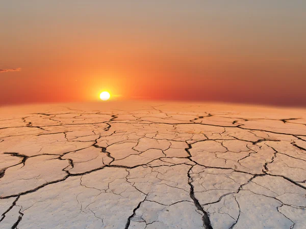 Terra rachada ao pôr do sol . — Fotografia de Stock