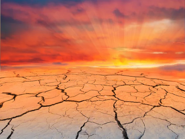 Tierra agrietada al atardecer . —  Fotos de Stock