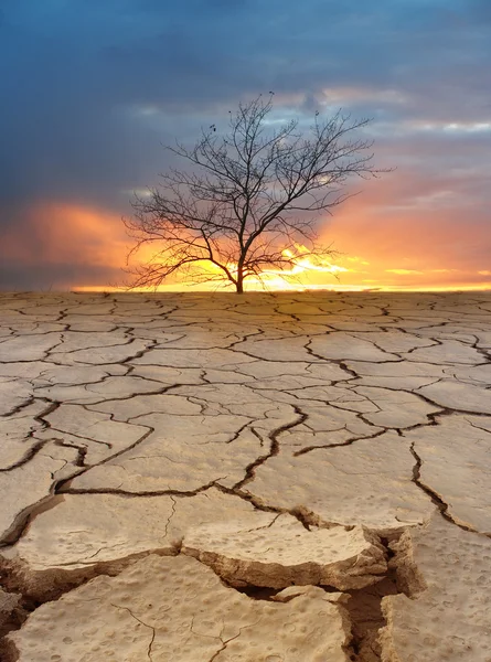 Disastri ecologici . — Foto Stock