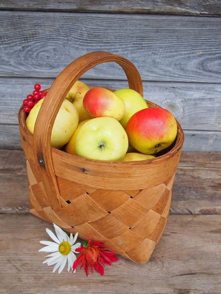 Verse rijpe appels in een mand. — Stockfoto