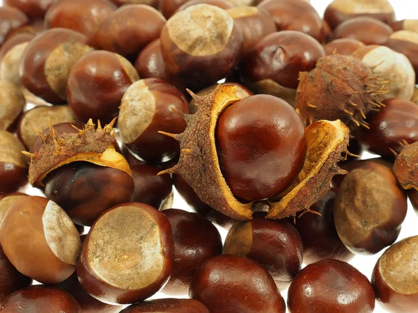 Chestnut fruits in bulk. — Stock Photo, Image