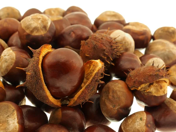 Chestnut fruits in bulk. — Stock Photo, Image