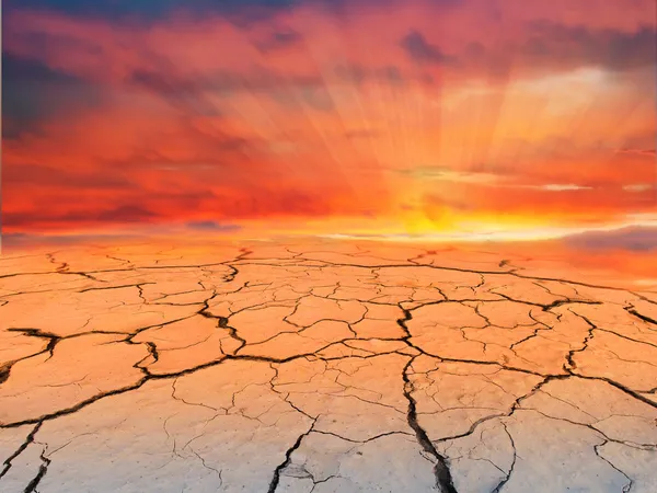 Terra rachada ao pôr do sol . — Fotografia de Stock