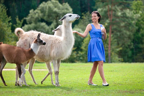 Jovem mulher atraente alimentando um grupo de lama — Fotografia de Stock