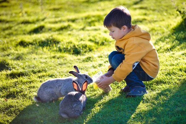 Kleine jongen voedt twee konijnen op de boerderij — Stockfoto