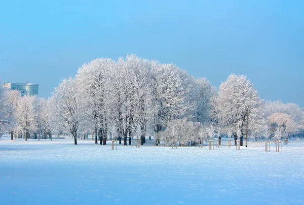 Bellissimo paesaggio invernale — Foto Stock