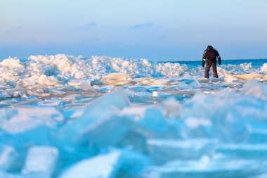 Man walking on icy beach along the Baltic sea clipart