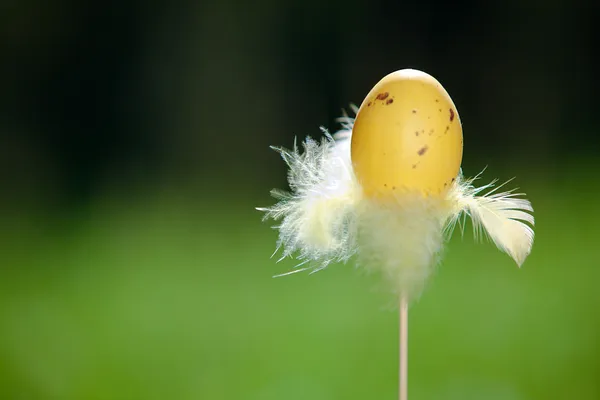 Osterei auf frischem grünen Hintergrund — Stockfoto