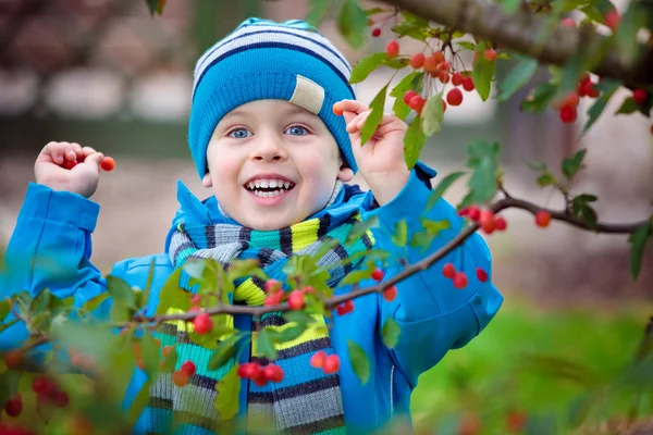 Lindo niño recogiendo pequeñas manzanas rojas salvajes — Foto de Stock