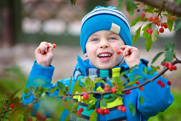 Cute kid picking up small wild red apples — Stock Photo, Image