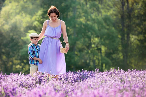女人和她的小儿子在薰衣草花田 — 图库照片