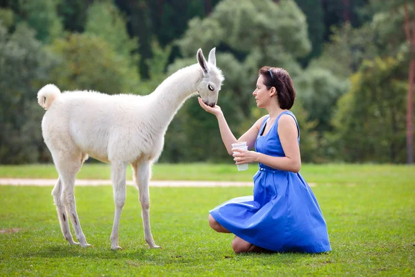 Giovane donna attraente alimentazione lama bambino — Foto Stock