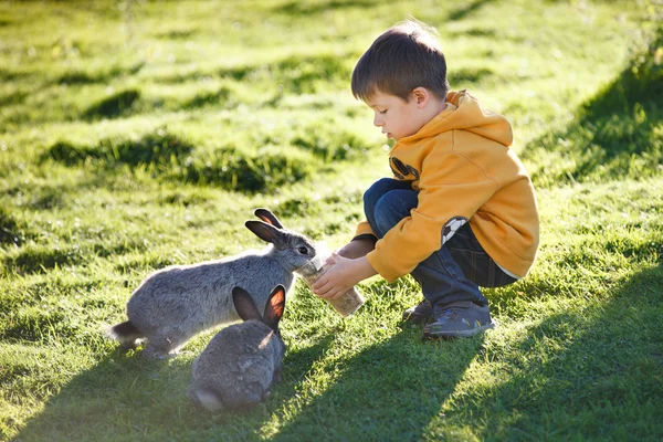 Niño pequeño alimentando a dos conejos en la granja — Foto de Stock