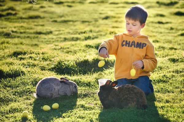 Mały chłopiec karmiący dwa króliki na farmie — Zdjęcie stockowe