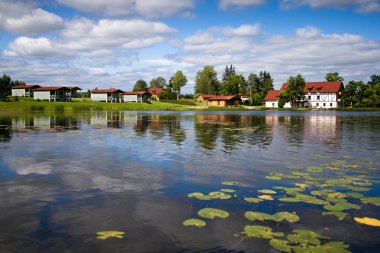 güzel Orman Gölü nilüferler yüzeyi ile