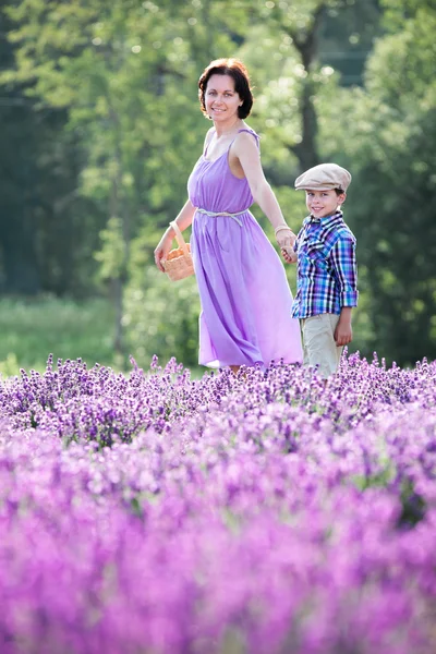 Kvinnan och hennes lilla son i lavendel fält — Stockfoto