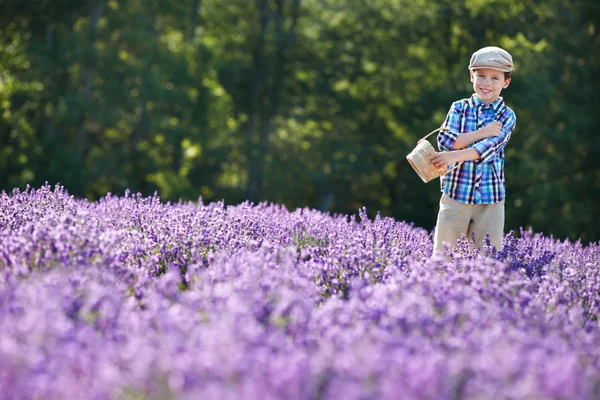 Niedlicher kleiner Junge mit Korb im Lavendelfeld — Stockfoto