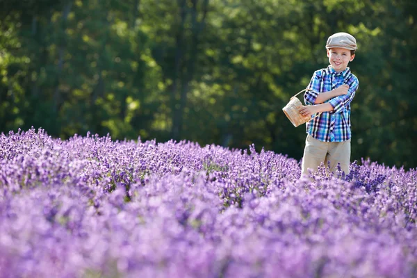 Petit garçon mignon avec panier dans le champ de lavande — Photo