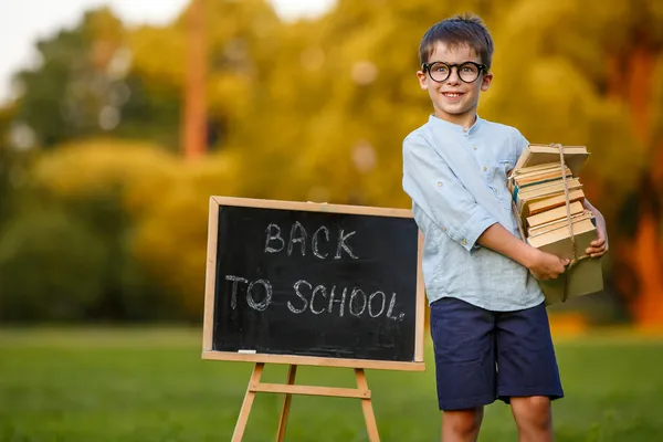 Carino piccolo scolaro che trasporta una pila di libri — Foto Stock