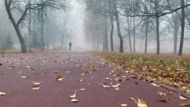 秋の霧 朝の公園で濃い霧 都会の公園で男がジョギングしている 女性が犬を歩いている 市内でタバコを吸う 悪天候 — ストック動画