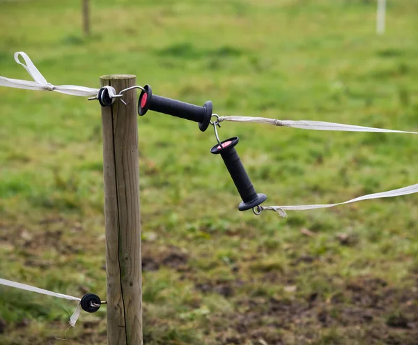 Elektrozaun auf dem Hof — Stockfoto