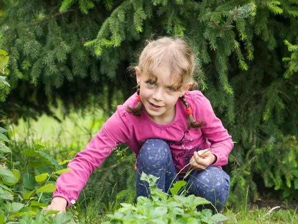 Meisje bos plukken aardbeien — Stockfoto