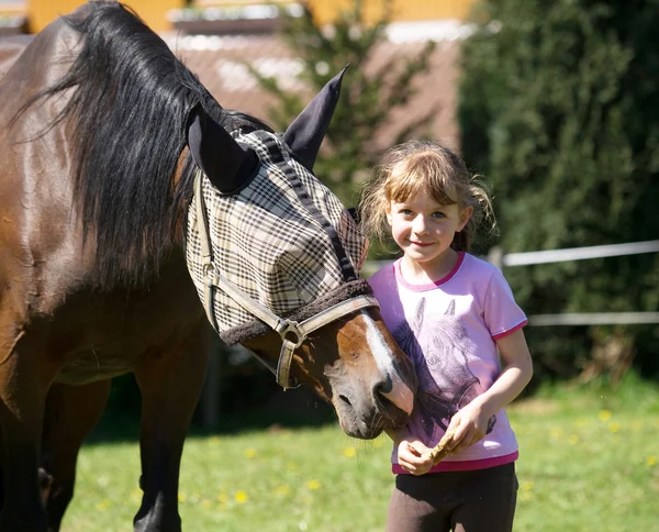 Fille donnant la couture au cheval — Photo