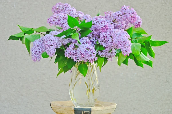 Bunch of lilac in a vase — Stock Photo, Image