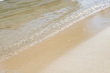 Güneşli Mısır 'a palmiyeyle yolculuk - 6