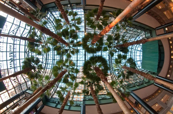 El jardín de invierno — Foto de Stock