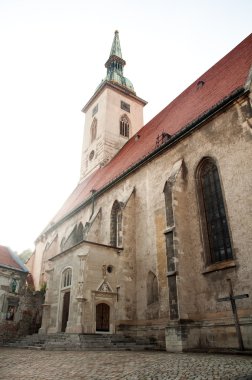 aziz martin katedrali