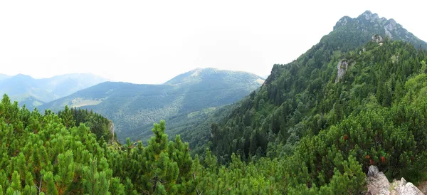 Panorama delle montagne — Foto Stock