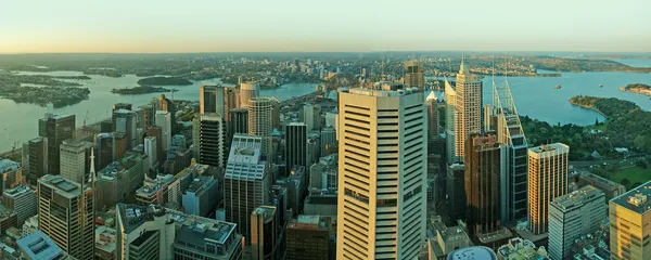 Sydney panoráma — Stock Fotó