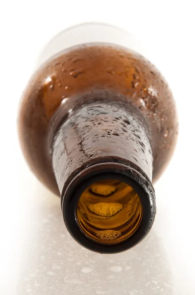 Empty brown beer bottle Royalty Free Stock Images