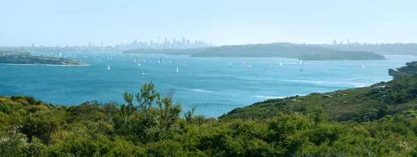 Port Jackson and Sydney cityscape — Stock Photo, Image