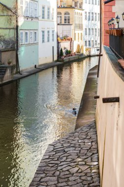 Çek Cumhuriyeti Prag 'daki Eski Kent antik mimari ve nehir kanalının manzaralı ilkbahar manzarası.