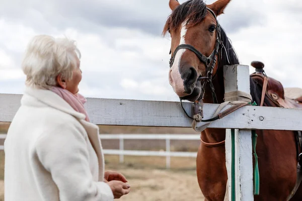 Starsza Kobieta Komunikuje Się Ujeżdżaniem Konia Stojącego Zagrodzie — Zdjęcie stockowe