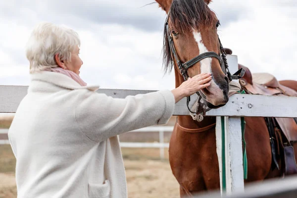 Starsza Kobieta Komunikuje Się Ujeżdżaniem Konia Dotykając Jego Pyska Stara — Zdjęcie stockowe