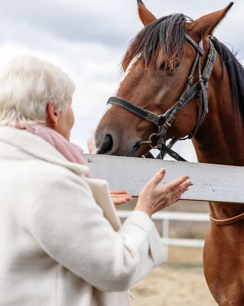 Starsza Kobieta Komunikuje Się Emocjonalnie Ujeżdżaniem Konia — Zdjęcie stockowe