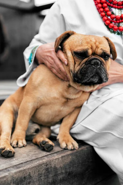 Ukrayna ulusal kıyafetleri giymiş yaşlı bir kadın oturan köpeği okşuyor.