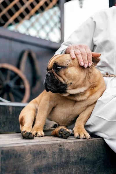 Ukrayna ulusal kıyafetleri giymiş yaşlı bir kadın ahşap verandada oturmuş, köpeğini arıyor.