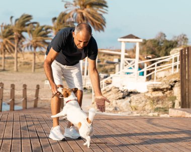 60 yaşında bir adam kumsalda küçük şirin köpek Jack Russell Terrier ile oynuyor..