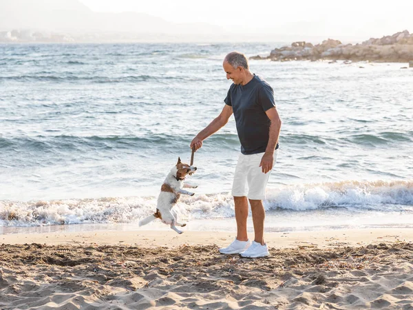 Elderly 60-years old man playing with small cute dog jack russell terrier on beach