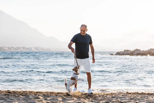 Elderly 60-years old man playing with small cute jumping funny dog jack russell terrier on beach.