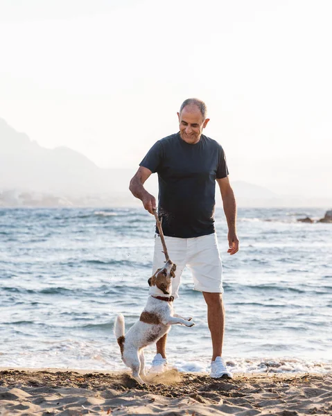 Elderly 60-years old man and small cute dog jack russell terrier have fun on beach.
