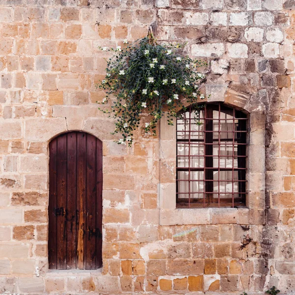 Old Door Iron Window Flowering Caper Bush Stone Wall Background — Stockfoto